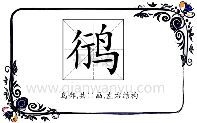 鸻