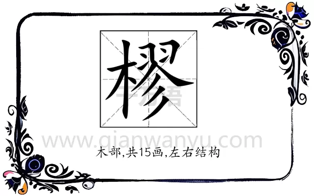樛