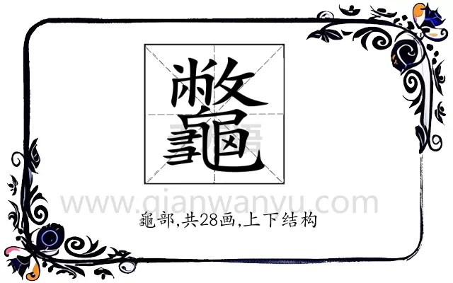 龞