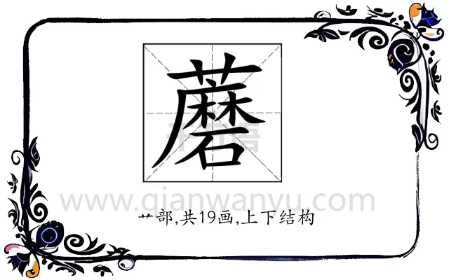 蘑