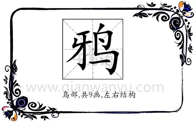 鸦