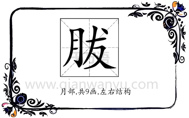 胈